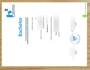 Make a realistic Hochschule Magdeburg-Stendal diploma