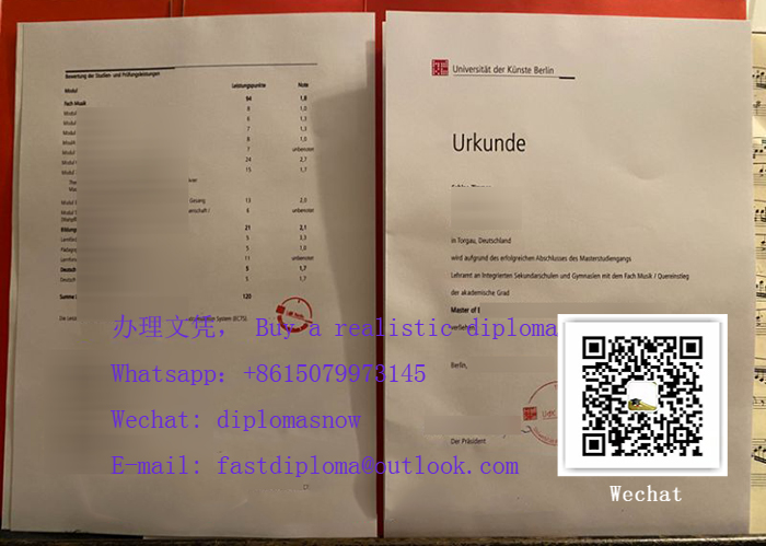 Universität der Künste Berlin diploma and transcript