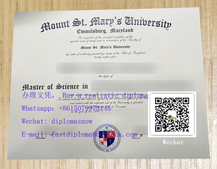 Mount St. Mary's University degree