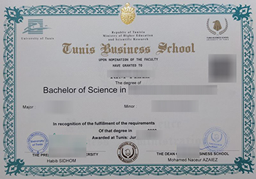 I want to get a Tunis Business School diploma