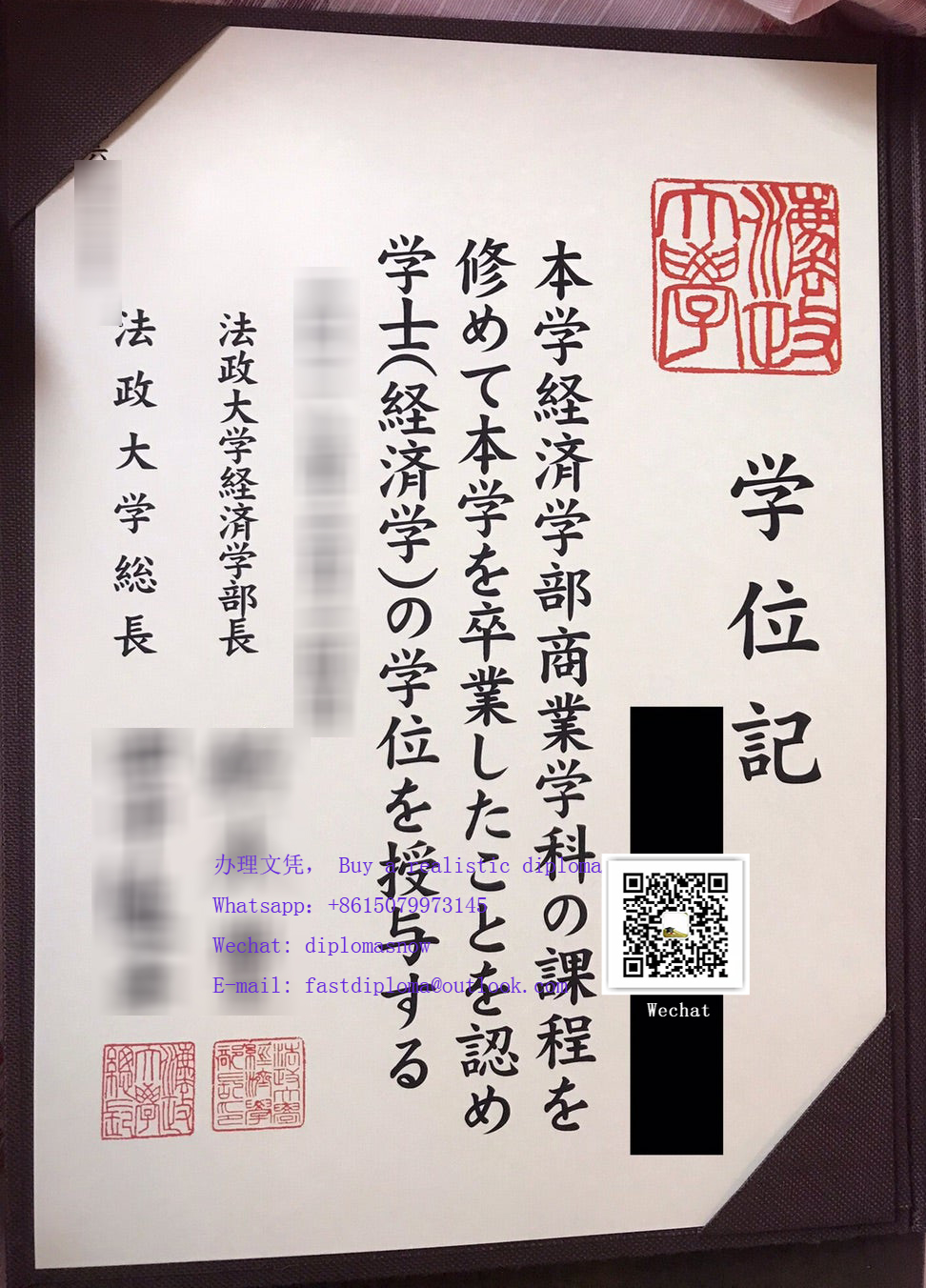 Hosei University degree