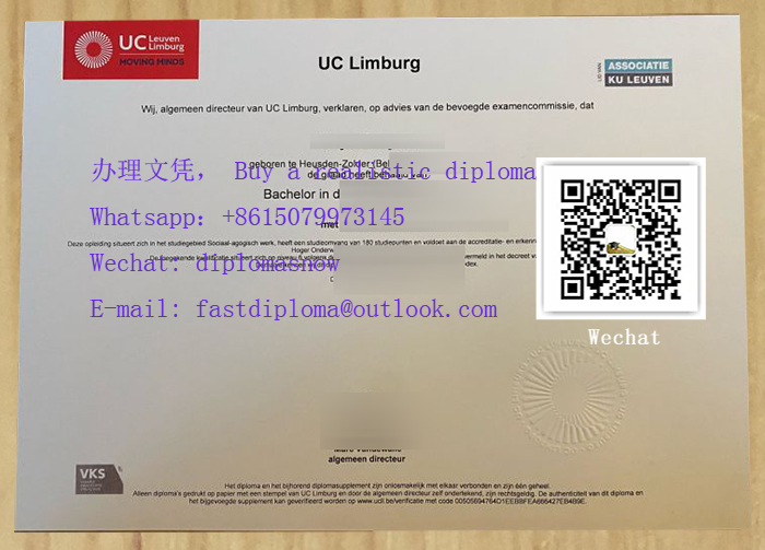 UC Leuven-Limburg diploma