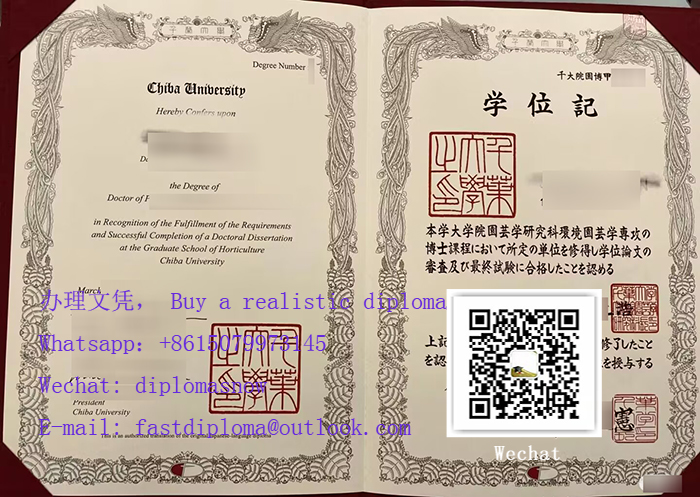 千葉大学学位证书，Ordre a Chiba University diploma