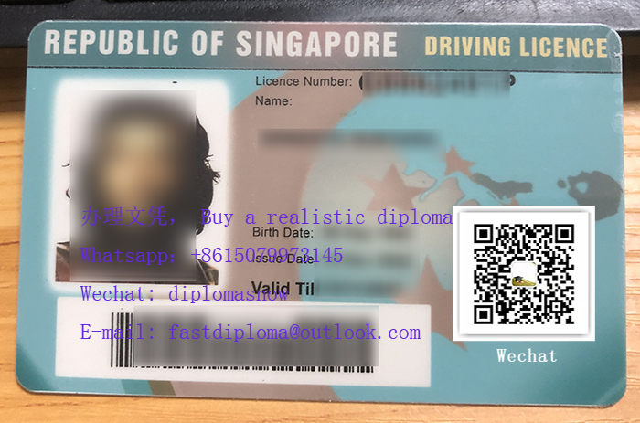 新加坡驾驶执照, Singapore Driving License