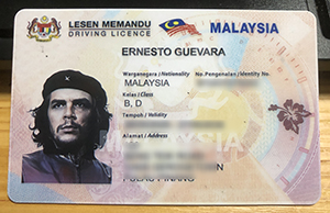 Malaysia Driving license sample