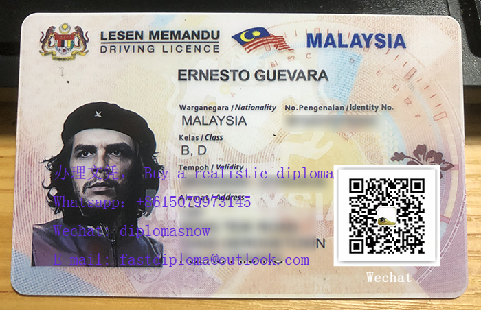 Malaysia Driving license